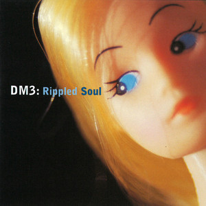 Rippled Soul cover