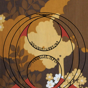 Parallel Suns cover