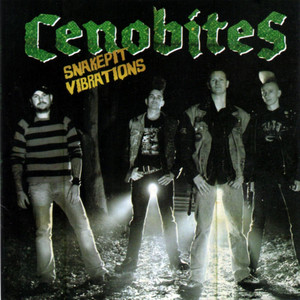 Snakepit Vibrations cover