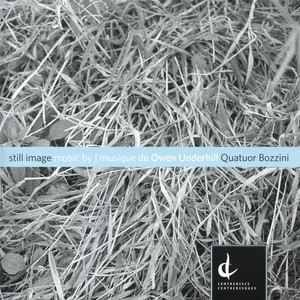 Still Image Albumcover