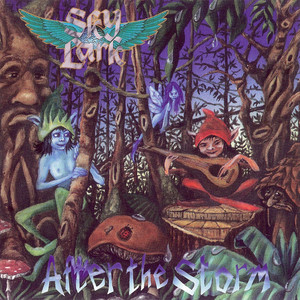After the Storm cover