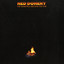 The Darkness Beyond the Fire cover