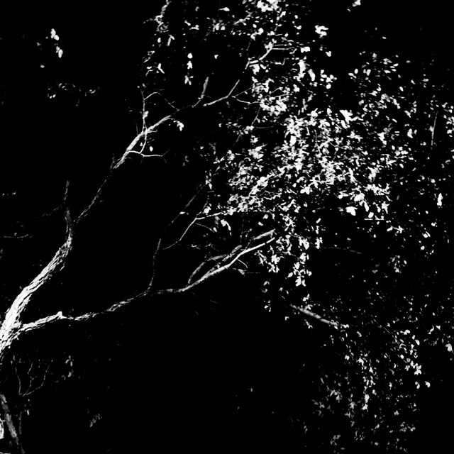 Crushed (maxi-single) cover