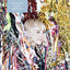 Island Broadcast cover