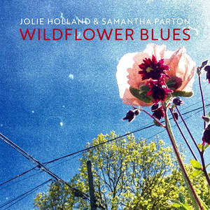 Wildflower Blues album