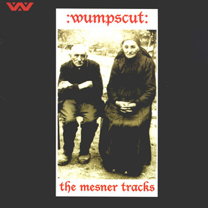 The Mesner Tracks album