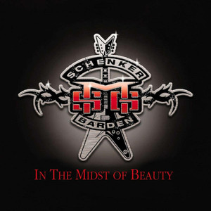 In The Midst Of Beauty cover