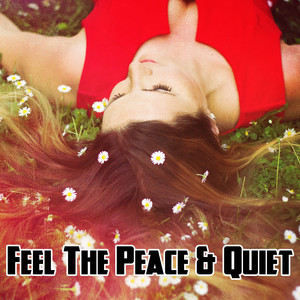 Feel The Peace & Quiet album
