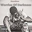 Worries of Darkness Albumcover