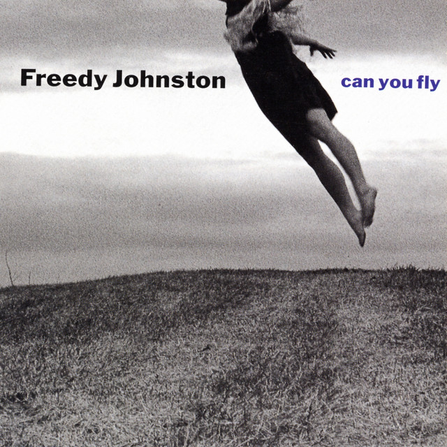 Can You Fly cover