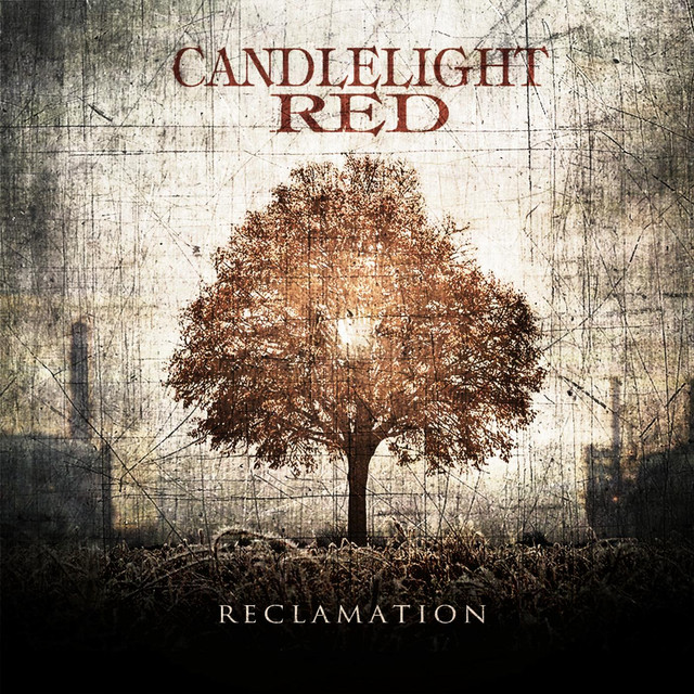 Reclamation cover