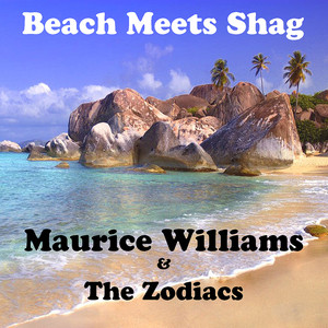 Beach Meets Shag cover