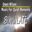 Music for Quiet Moments: Simulate Albumcover