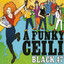 A Funky Ceili cover