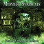 Realm of Shadows cover