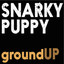 groundUP cover