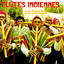 Flutes Indiennes Albumcover
