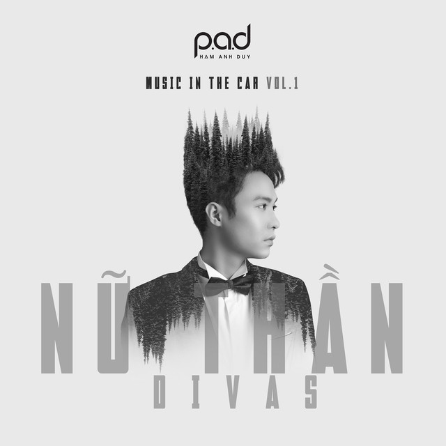 Phạm Duy Photo