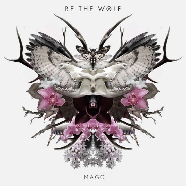 Be The Wolf Photo
