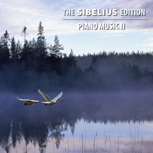 Piano Music cover
