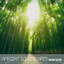 Ambient SoundScapes, Vol. 16 cover