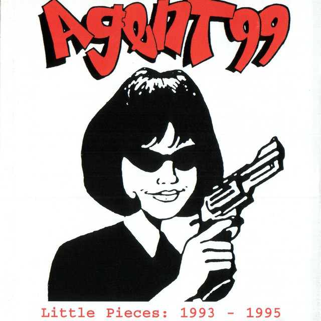 Agent 99 Photo