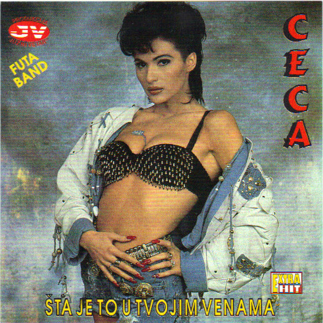 Sta Je To U Tvojim Venama cover