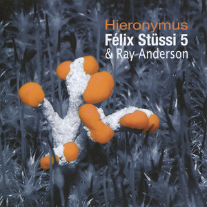 F&eacute;lix St&uuml;ssi 5