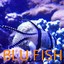 Blu Fish Albumcover