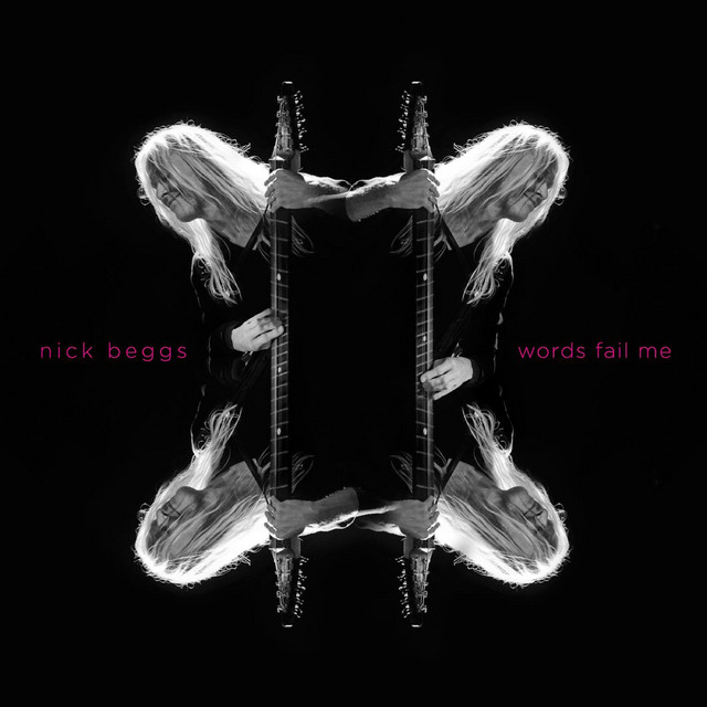Nick Beggs Photo