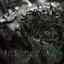 Echoes (Deluxe) cover
