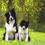 Heir of the Dog Albumcover