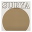 Surya (feat. Didier Lockwood, Francis Lockwood, Sylvain Marc, Jean My Truong, Luc Plouton) Albumcover