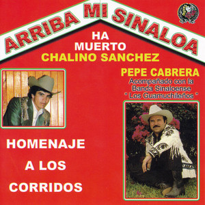 Arriba Mi Sinaloa album