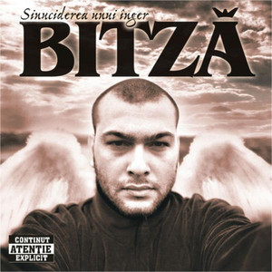 Sinuciderea Unui Inger cover