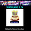 Your Birthday Present - Sunnyland Slim cover