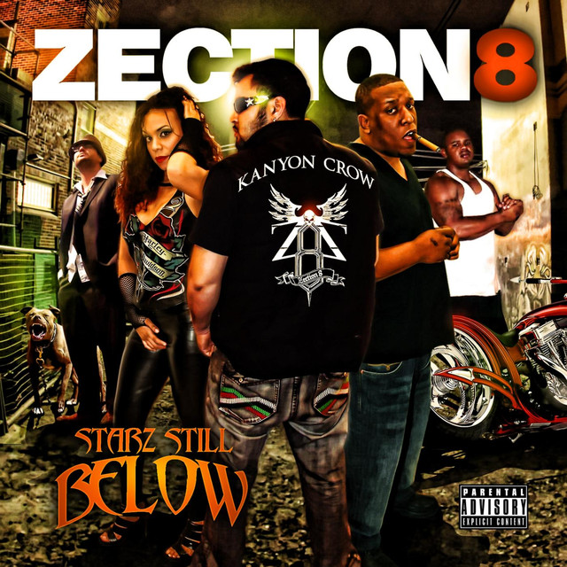 Zection 8 Photo