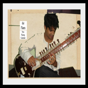 Anand Vyas - the Plants