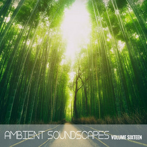 Ambient SoundScapes, Vol. 16 cover