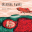 Dreaming Awake Albumcover