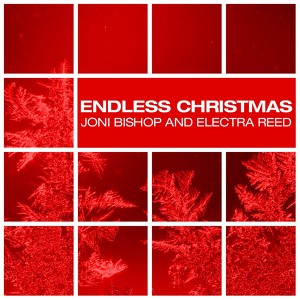 Endless Christmas Albumcover