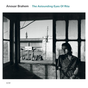 The Astounding Eyes of Rita cover
