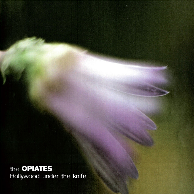 The Opiates Photo