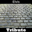 All Shook Up: Tribute To Elvis Presley Part 1 Albumcover