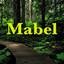 Mabel cover