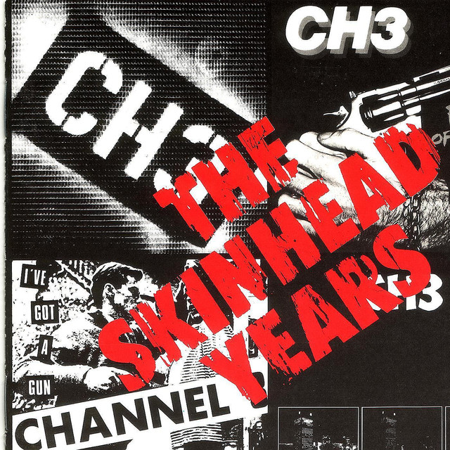 The Skinhead Years cover
