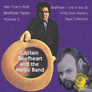The Nan True's Hole Tapes Volume 3 (Live) album