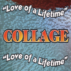 Love of a Lifetime album