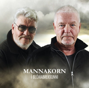 Í blómabrekkunni cover