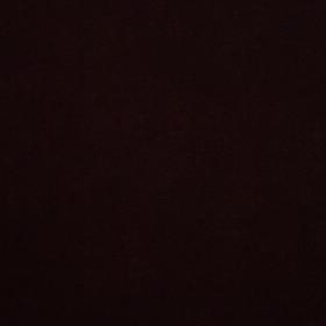 Nocturna photo